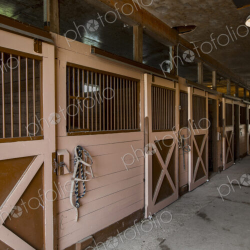 Closed stables in barn