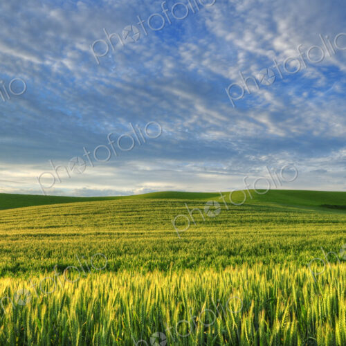 Cloudy sky over rolling hills in rural landscape Cloudy sky over rolling hills in rural landscape