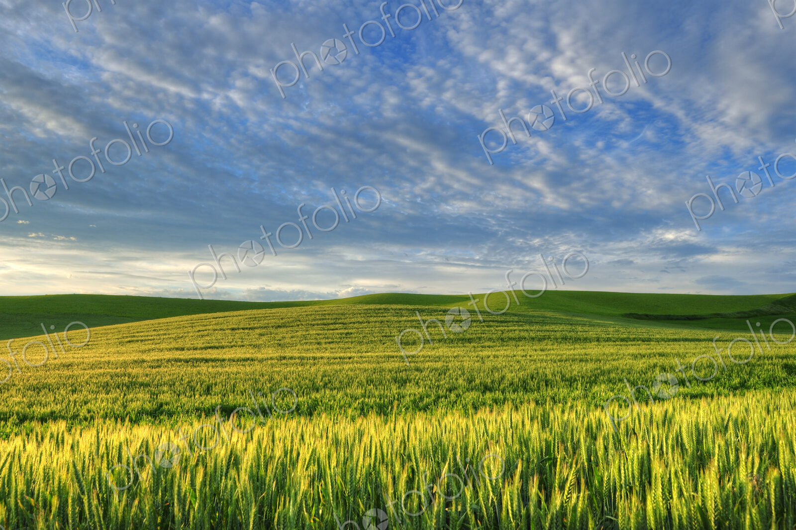 Cloudy sky over rolling hills in rural landscape