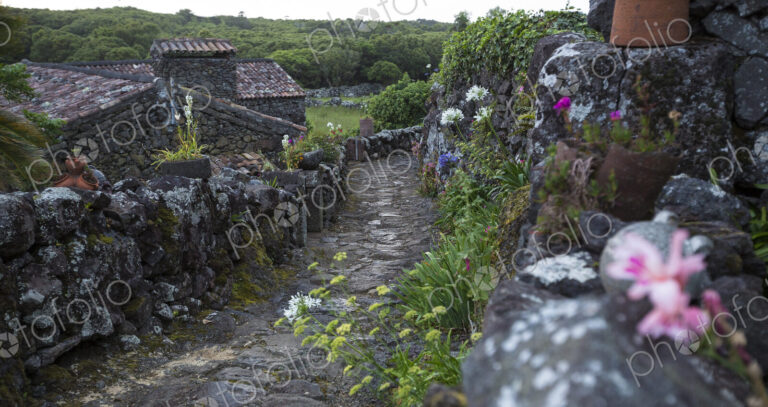 Cobblestone walkway in rural village