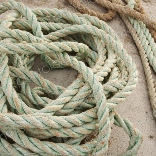Coiled Ropes on the ground Coiled Ropes on the ground