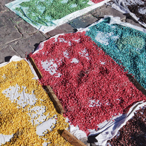 Colored Corn Colored Corn