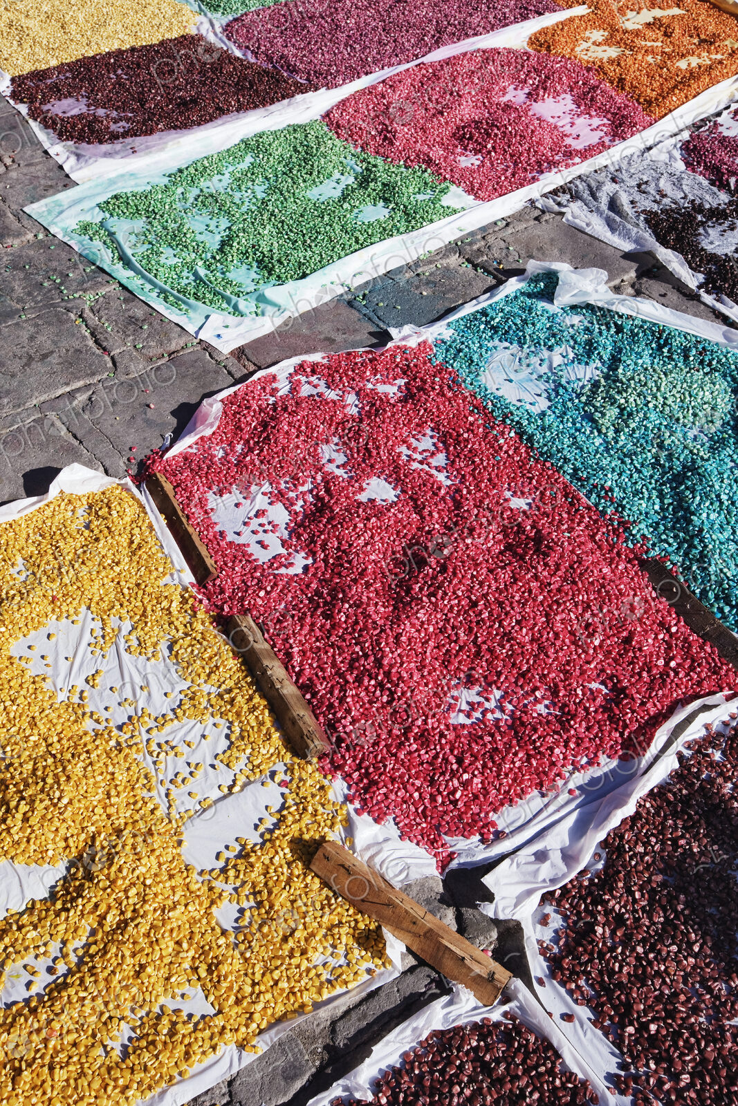 Colored Corn