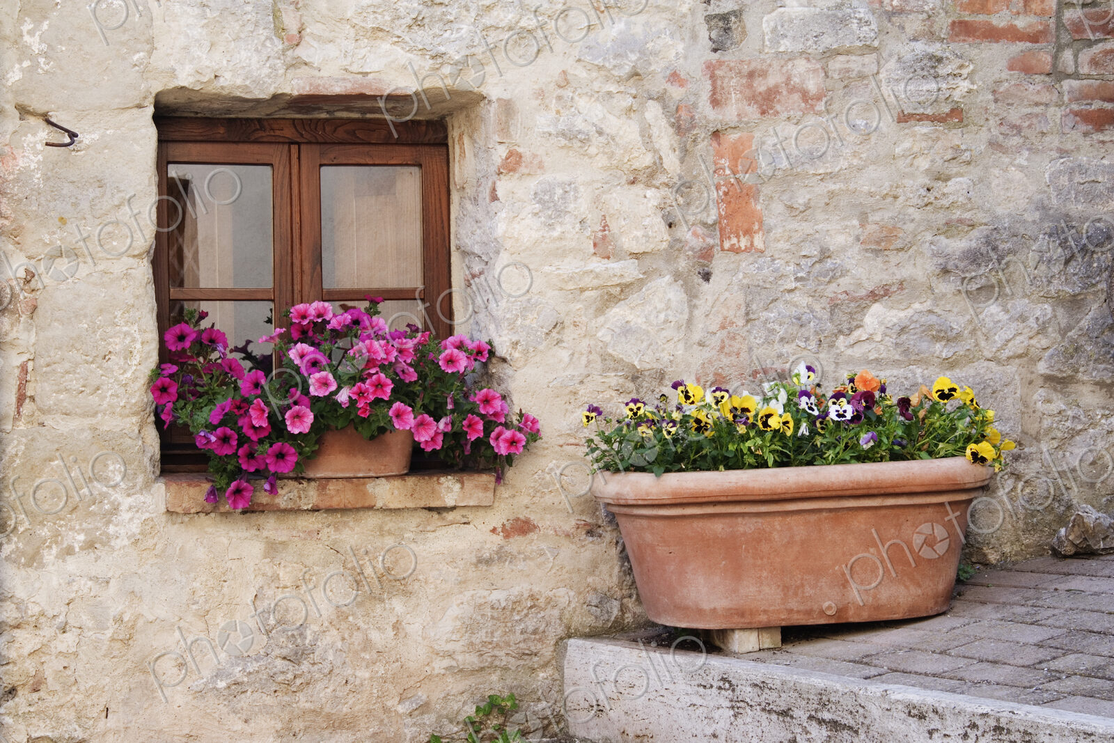 Colorful Flowers in Window Flower Box