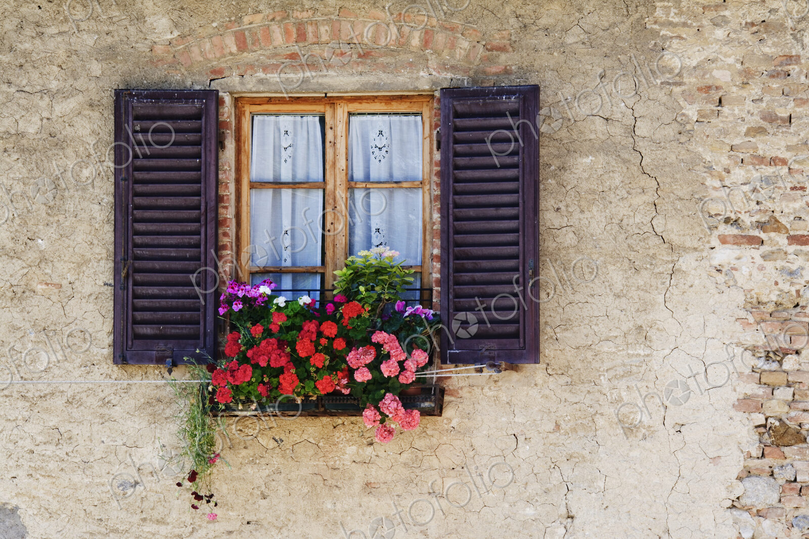 Colorful Flowers in Window Flower Box