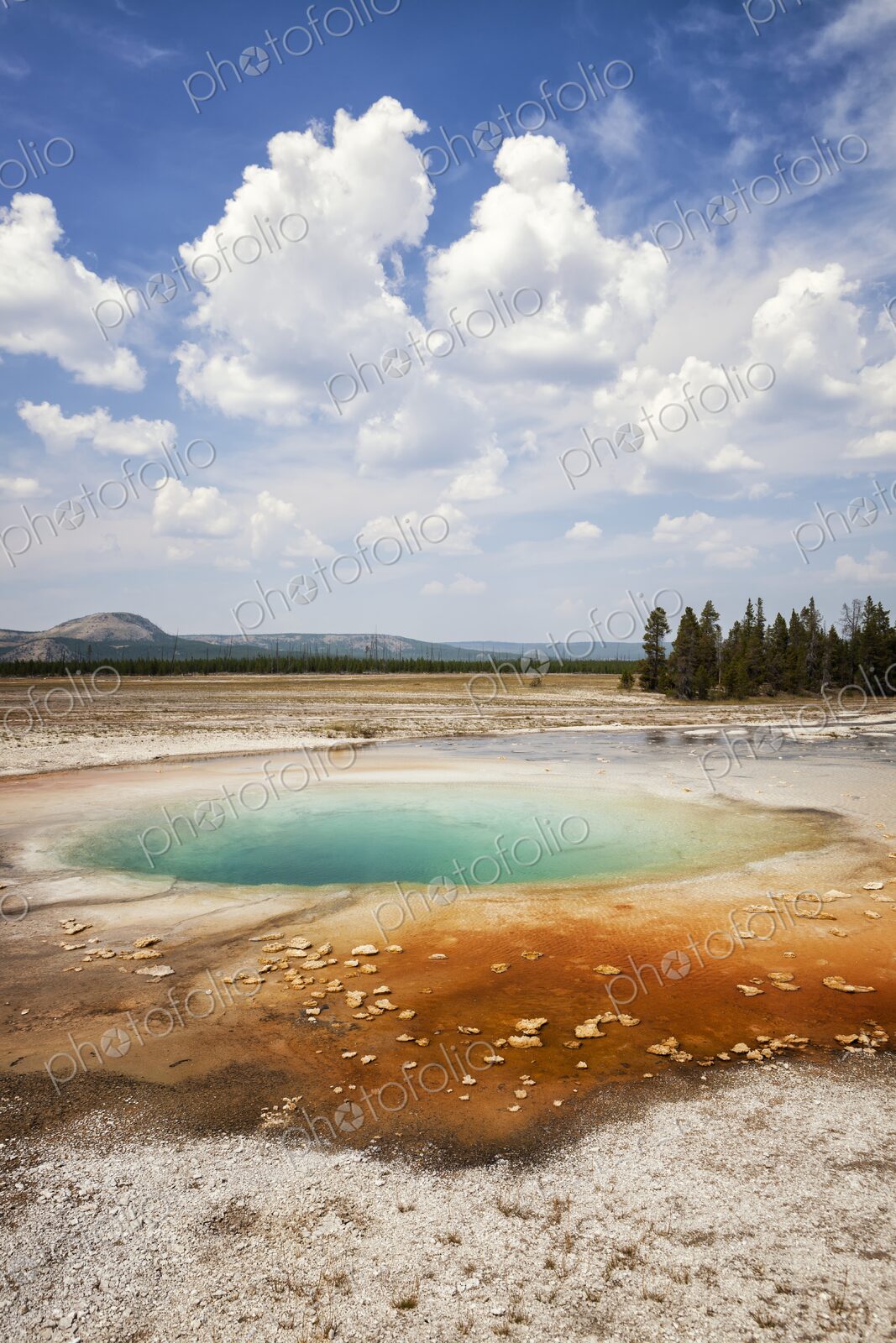 Colorful Opal Pool in Yellowstone’s Midway Geyser Basin with vivid turquoise water,…