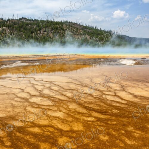 Colorful bacteria mat surrounding Grand Prismatic Spring, Midway Geyser Basin,… Colorful bacteria mat surrounding Grand Prismatic Spring, Midway Geyser Basin,…