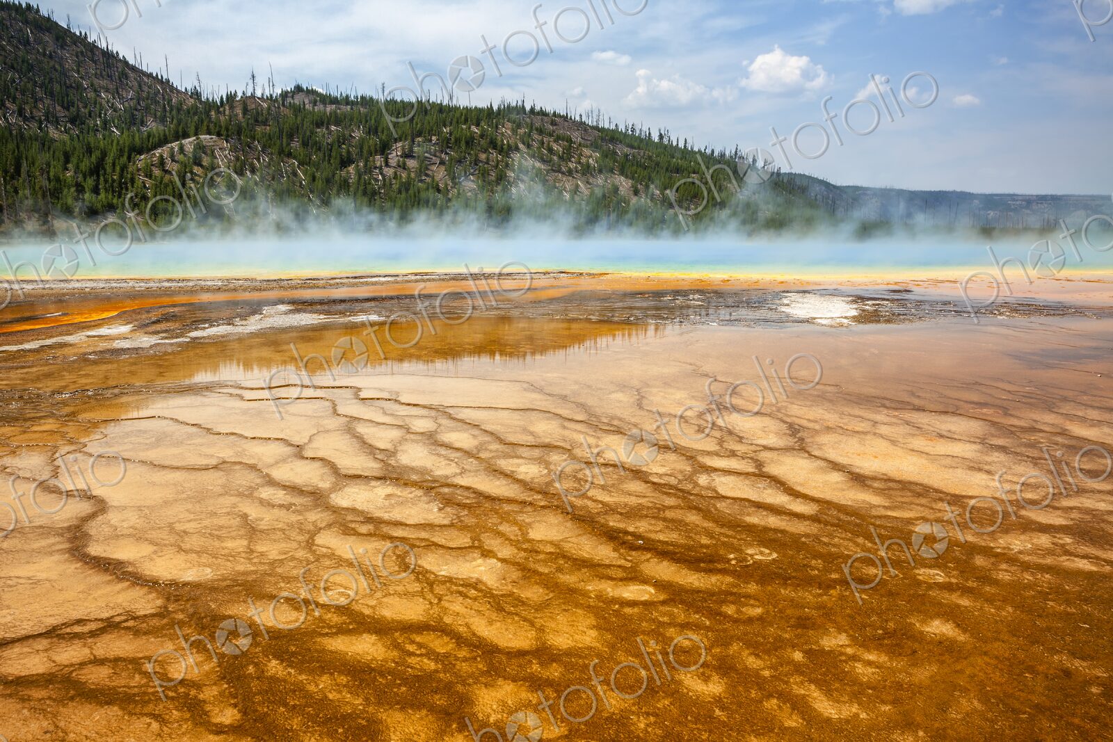 Colorful bacteria mat surrounding Grand Prismatic Spring, Midway Geyser Basin,…