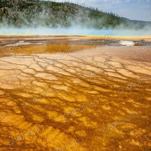 Colorful bacteria mat surrounding Grand Prismatic Spring, Midway Geyser Basin,… Colorful bacteria mat surrounding Grand Prismatic Spring, Midway Geyser Basin,…