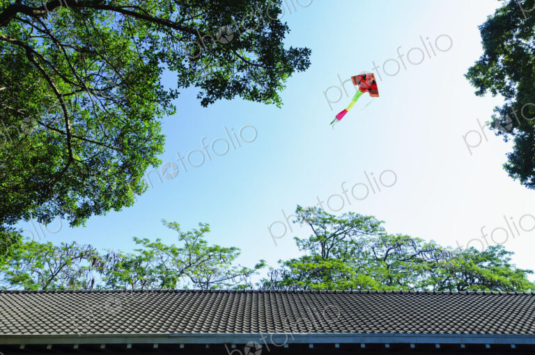 Colorful kite flying over traditional Chinese roof.