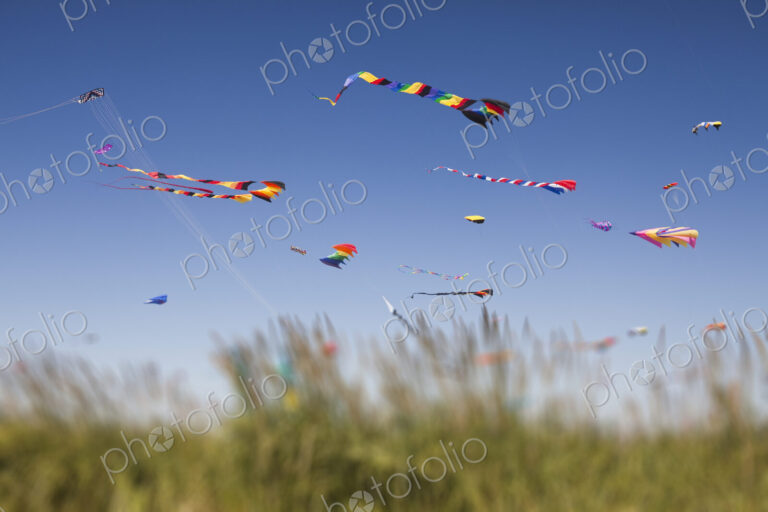 Colorful kites flying at a kite festival.