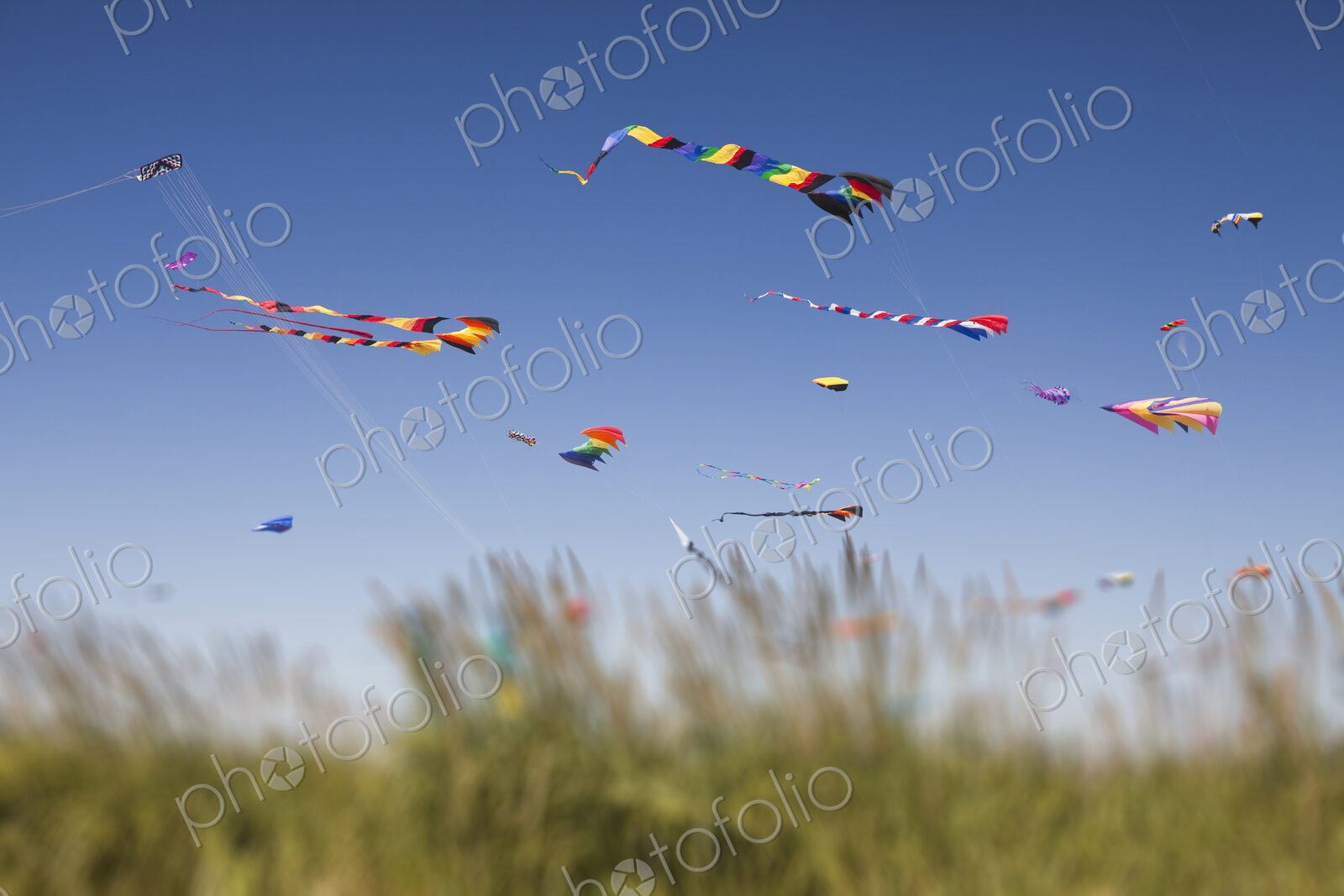 Colorful kites flying at a kite festival.