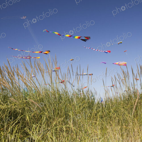 Colorful kites flying in a breeze.