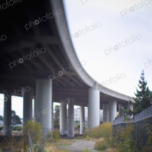 Columns Supporting Freeway Overpass Columns Supporting Freeway Overpass