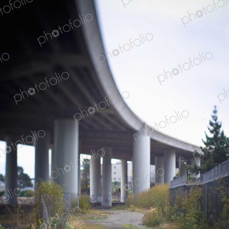 Columns Supporting Freeway Overpass