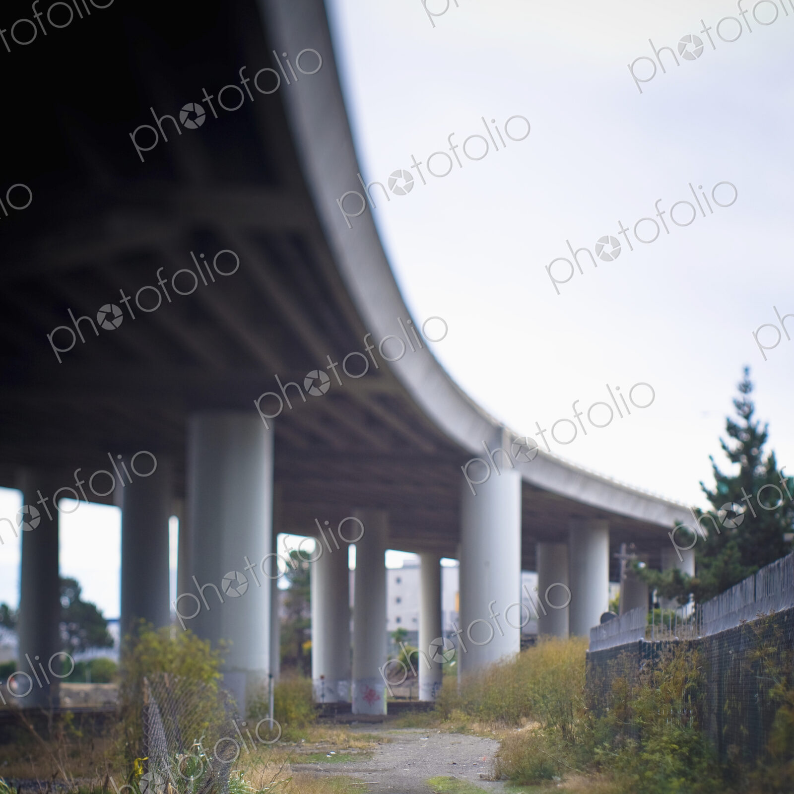 Columns Supporting Freeway Overpass
