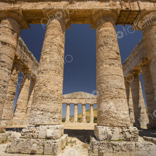 Columns of the Temple of Segesta in Sicily. Columns of the Temple of Segesta in Sicily.