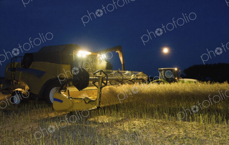 Combine harvester and grain trailer working at night under lights.
