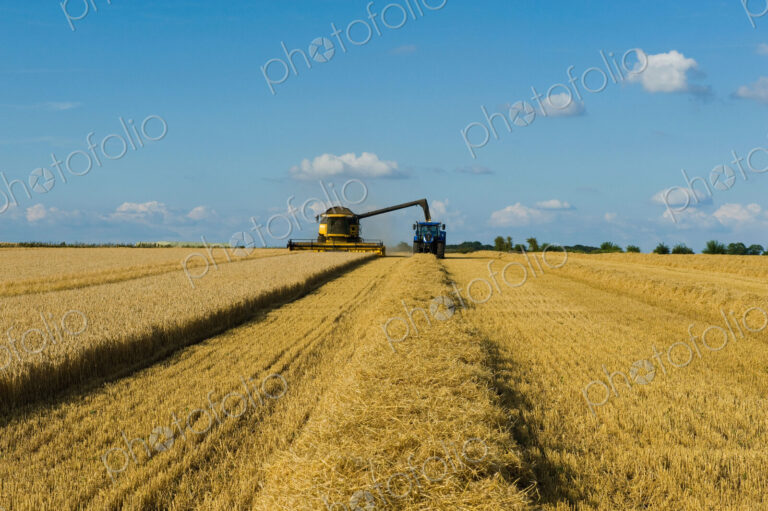 Combine harvester and tractor harvesting a crop in a field in summer.