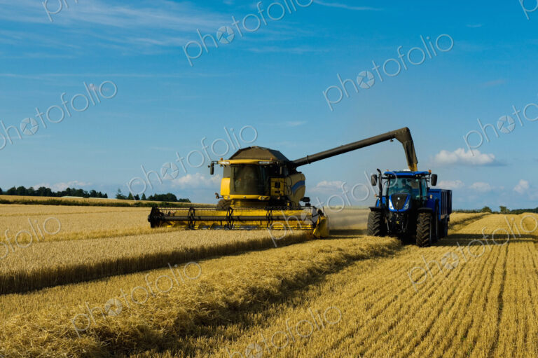 Combine harvester and tractor harvesting a crop in a field in summer.
