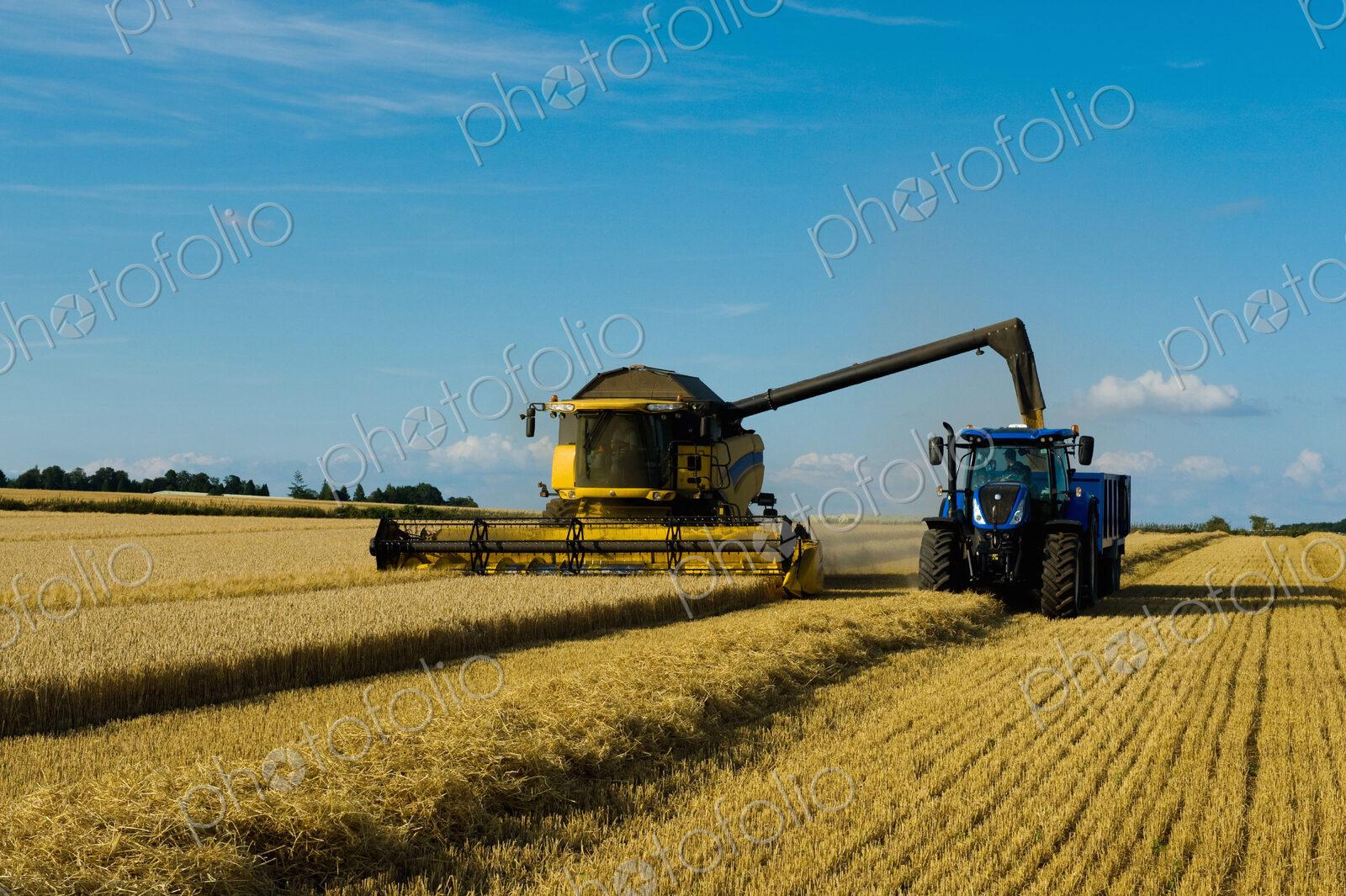 Combine harvester and tractor harvesting a crop in a field in summer.