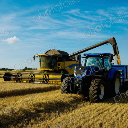 Combine harvester and tractor harvesting a crop in a field in summer.