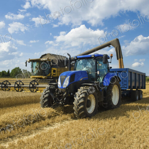 Combine harvester delivering harvested grain onto a grain trailer on a farm. Combine harvester delivering harvested grain onto a grain trailer on a farm.