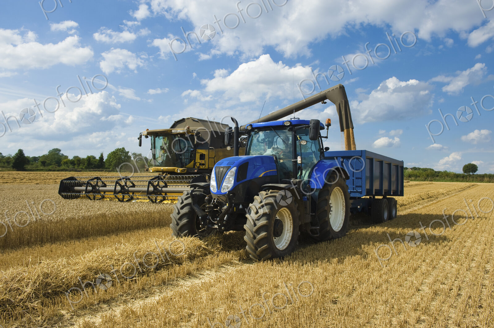 Combine harvester delivering harvested grain onto a grain trailer on a farm.