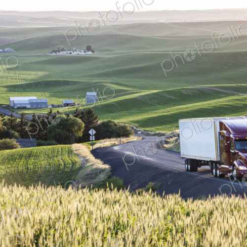 Commercial truck driving though wheat fields of eastern Washington, USA at sunset. Commercial truck driving though wheat fields of eastern Washington, USA at sunset.
