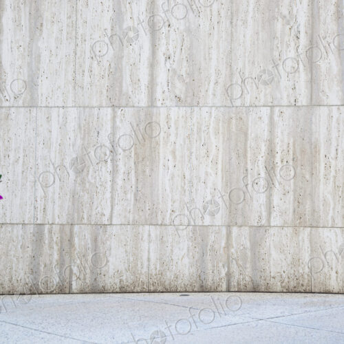 Concrete Planter With Flowers in Front of Marble Wall