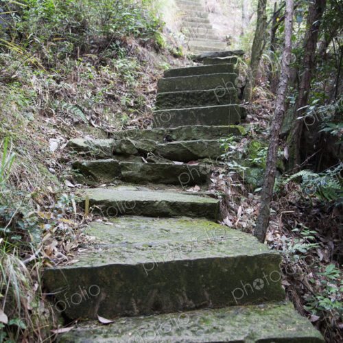 Concrete Stairs in the Woods Concrete Stairs in the Woods