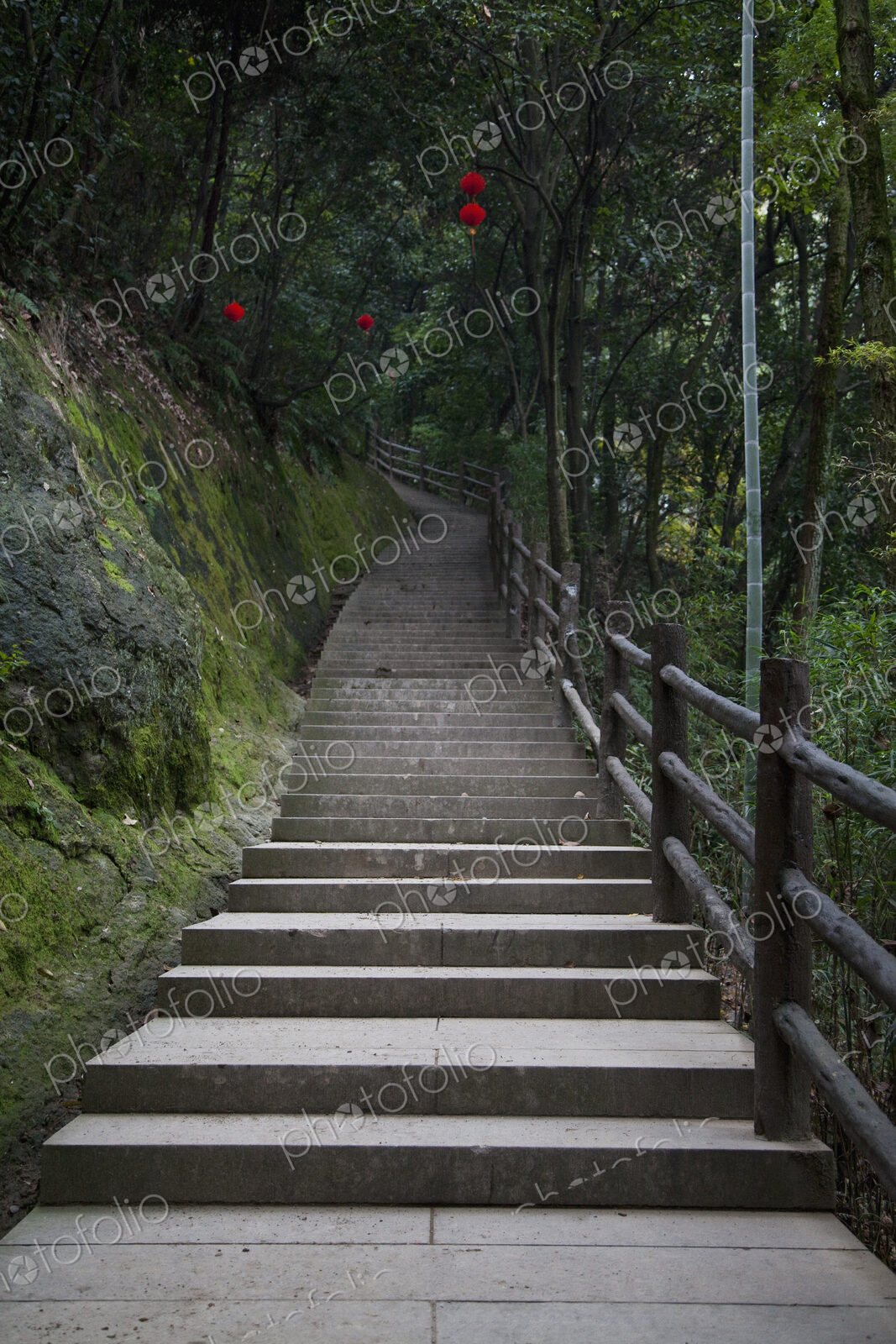 Concrete Stairway in the Woods