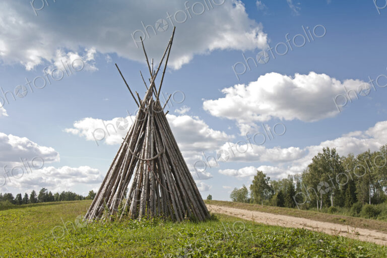 Conic Wood Structure