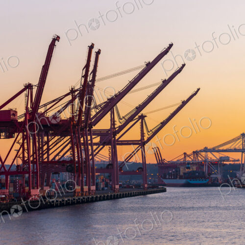 Container cranes in industrial shipyard at sunrise