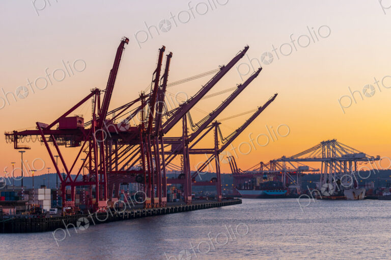 Container cranes in industrial shipyard at sunrise