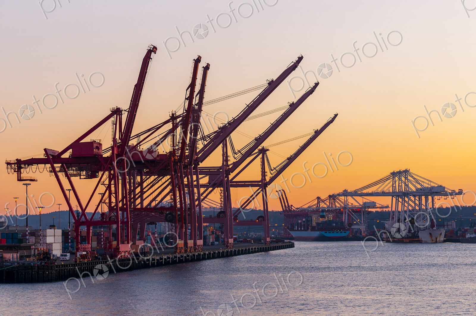Container cranes in industrial shipyard at sunrise