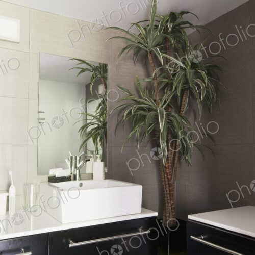 Contemporary Bathroom Decor