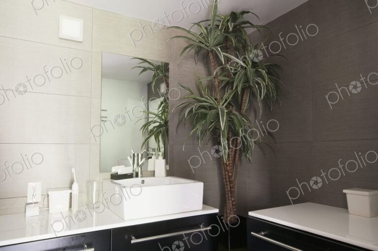 Contemporary Bathroom Decor