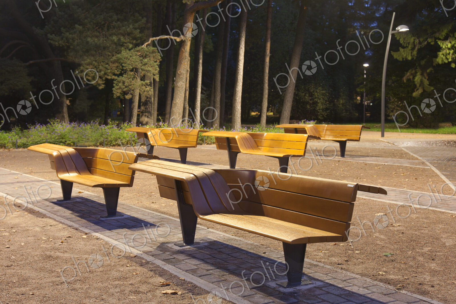 Contemporary Benches at a Park