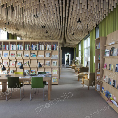 Contemporary Library Interior
