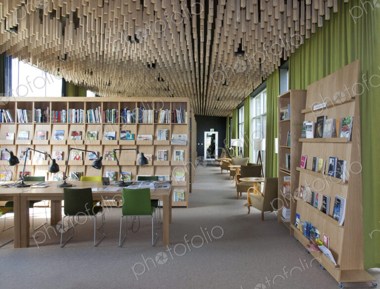 Contemporary Library Interior