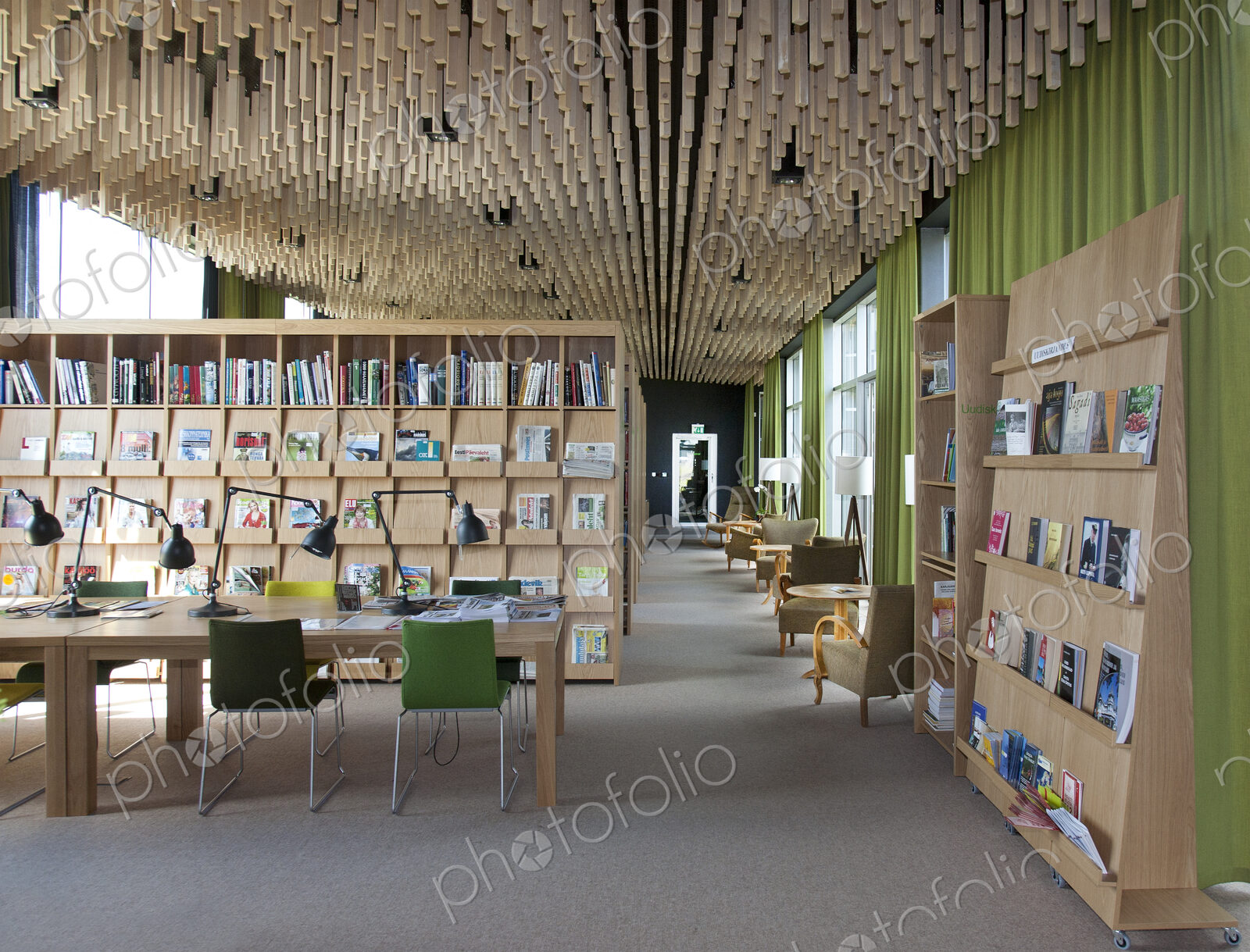 Contemporary Library Interior