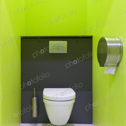Contemporary Toilet