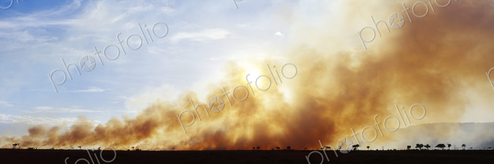 Controlled Burn Masai Mara Game Reserve