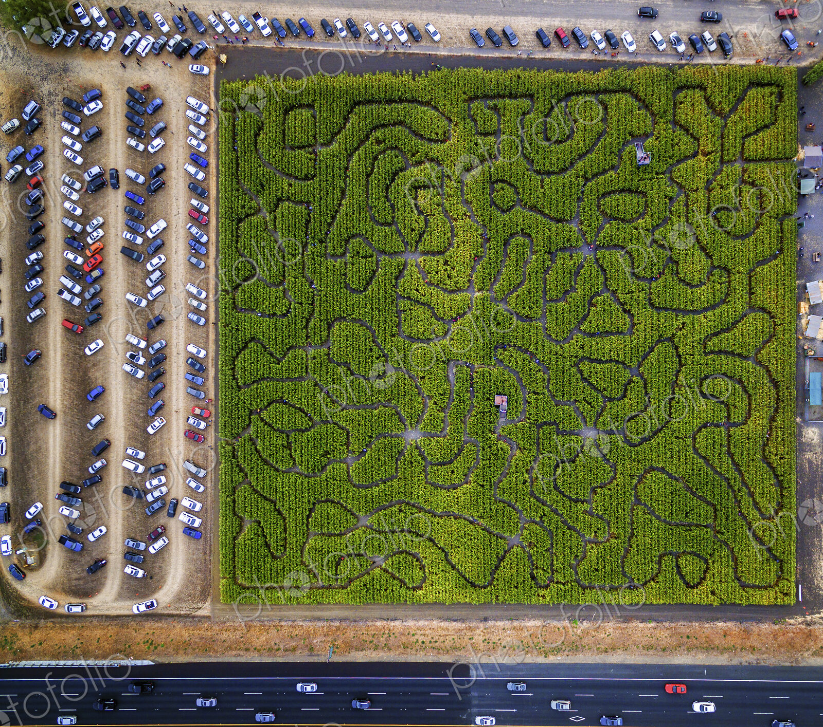 Corn Maze, Petaluma Pumpkin Patch, an aerial view of the maze, hedges and paths. Cars…