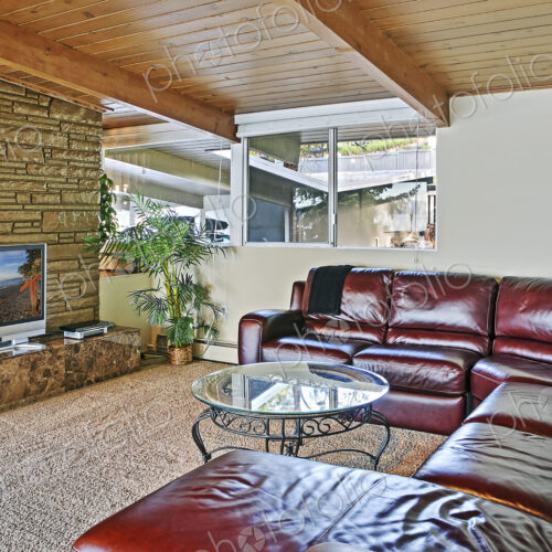 Couch and sofa in living room