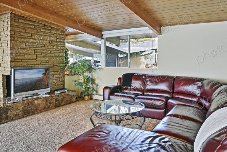 Couch and sofa in living room