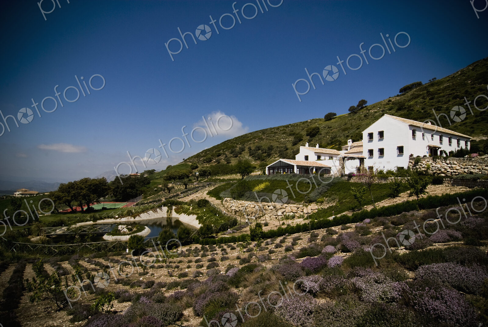 Country Hotel