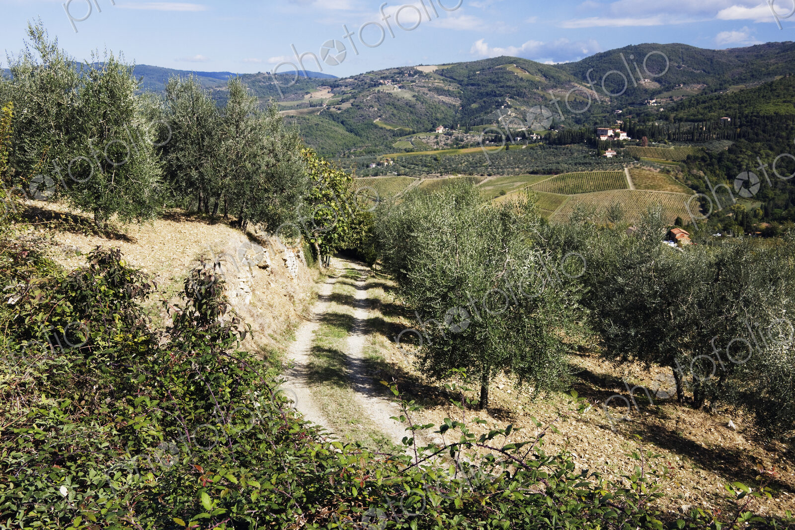 Country Road