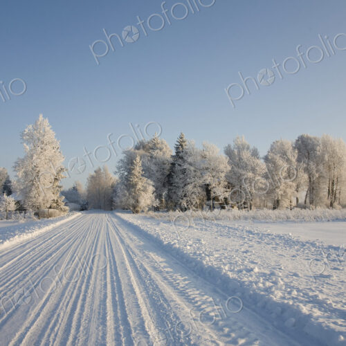 Country Road Covered in Snow Country Road Covered in Snow